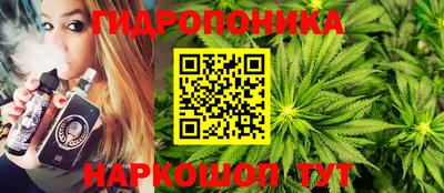 индика Изобильный