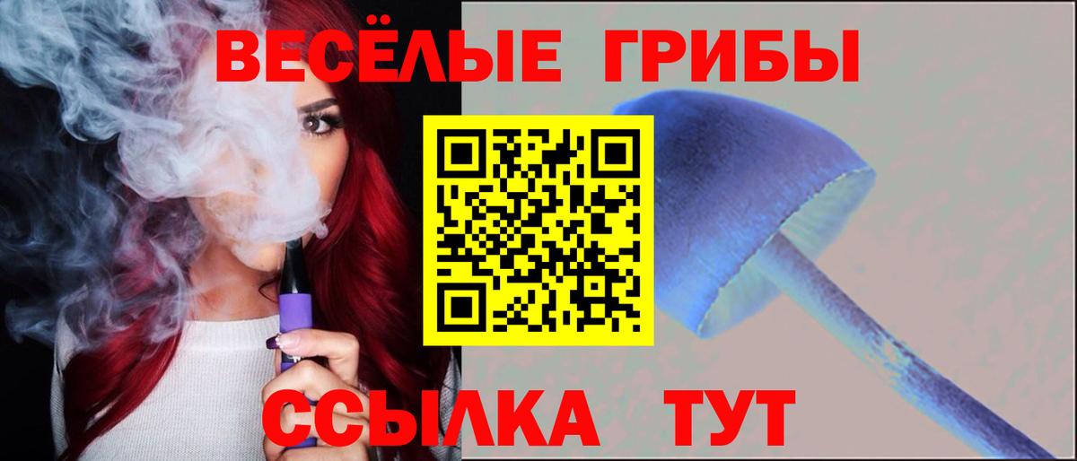 Псилоцибиновые грибы мицелий Кызыл